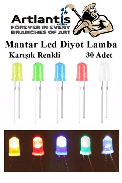 Artlantis Mantar Led Diyot Lamba 30 lu 1 Paket Karışık Renkli 4.8 mm Mini Man...