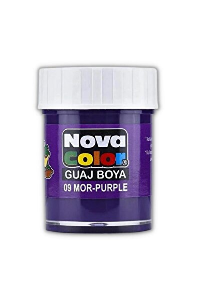 Nova Color Mor Guaj Boya 25 ml 1 Adet Nova Color Su Bazlı 25 ml Guaj Boya Mor...
