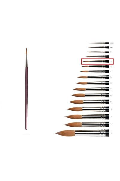 Artlantis Suluboya Fırçası 2 Numara Samur Guaj Boya Fırça No:2 1 Adet