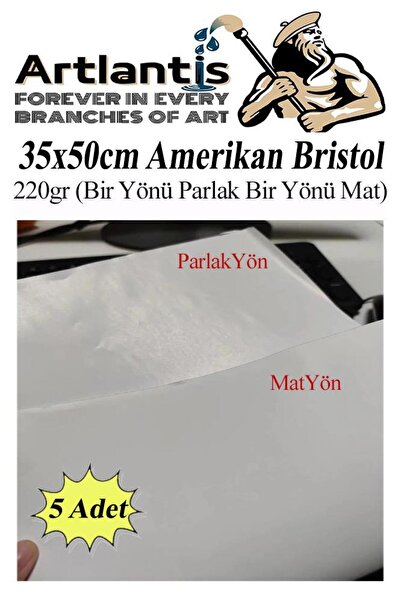 Artlantis Amerikan Bristol Karton 35x50 cm 5 Adet 220 gr Bir Tarafı Parlak Bi...