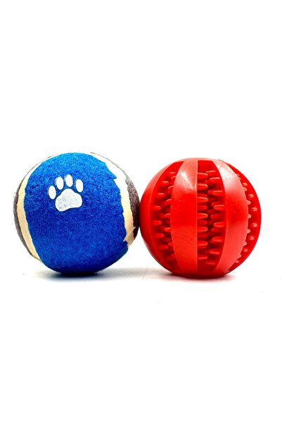 Tasma Market Set of 2 Hoppered Balls and Dog Tennis Balls - Reward Food