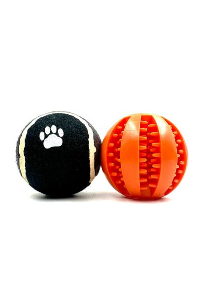 Tasma Market Dog Training Ball Set of 2 with Reward Food Reservoir