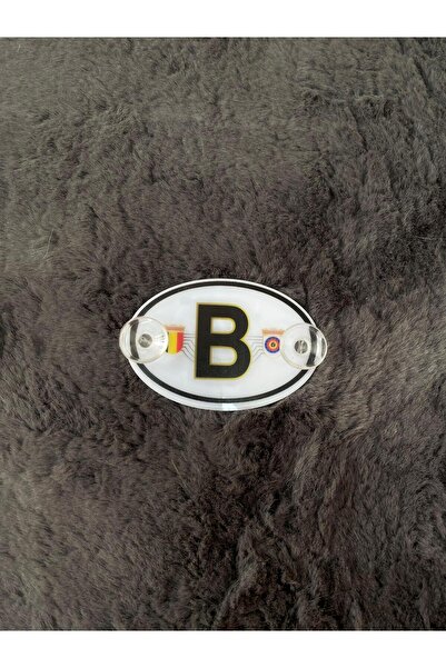 OTOMOR AKSESUAR 9x7 سم بلجيكا - كوب شفط زجاجي أمامي، بيضاوي B