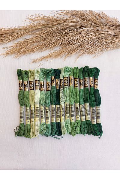 Dmc Muline Green Colors 16 Colors
