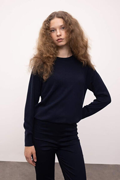 LC Waikiki Soft Texture Crew Neck Knitwear Sweater - Dfc-Regular Fit I6913Azn...
