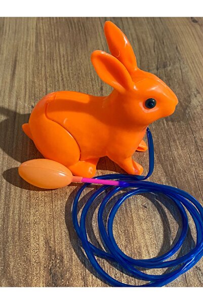 HerşeyVarBurda أرنب كذاب الحنين (أرنب مع مضخة)