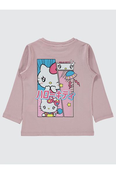 Civil Girls 2-5 Years Girl's Pink Sweatshirt