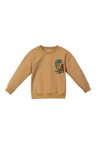 Lolons Boy's Day Themed Sweatshirt