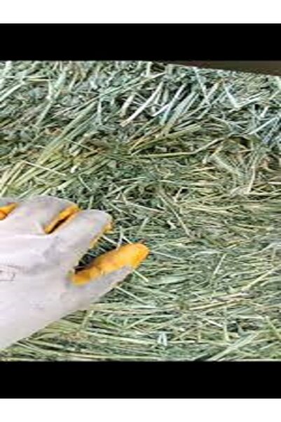 ÇEVİK TARIM Yonca Kuru 2 Kg Tavşan, Tavuk, Koyun, Kuzu, Inek, Hamster, Ginepig, At Yemi