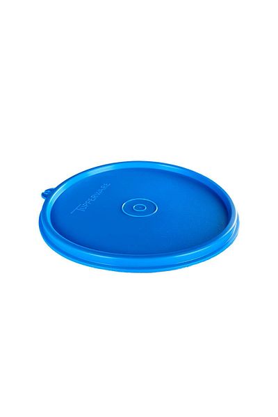 Tupperware 600ml Blue Refrigerator Storage Container - 1