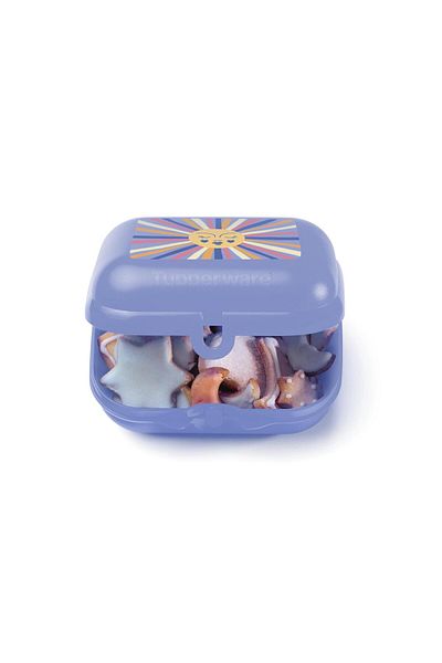 Tupperware 500ml Rainbow Food Carrying Container