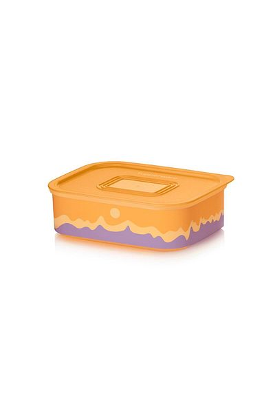 Tupperware 500ml Sunrise Water Series Food Storage Container