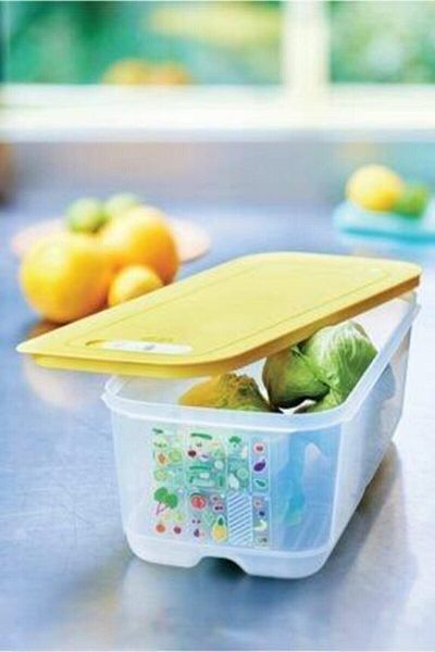Tupperware Greenhouse Series Vegetable Fruit Storage Container 6.1L Set of 2