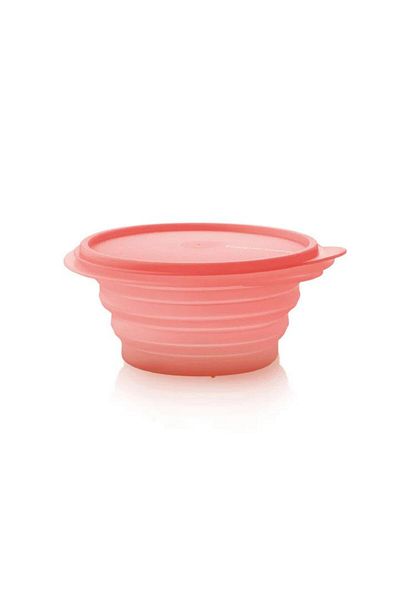 Tupperware Minmax Guava Food Storage Container 700 ml