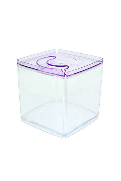 Ista Stylish Display Case - Square Tank - Purple Hnzrn