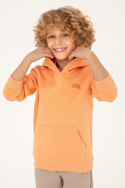 U.S. Polo Assn. Boy's Melon Print Hooded Sweatshirt - 50295161 -Vr202