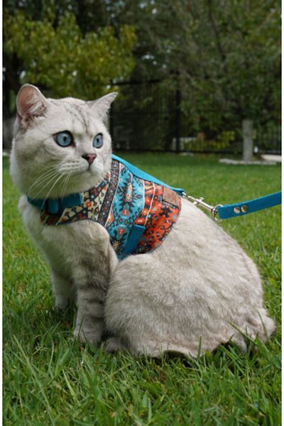 Patipatron Anti-Escape Cat Walking Leash and Small Breed Dog Walking Leash