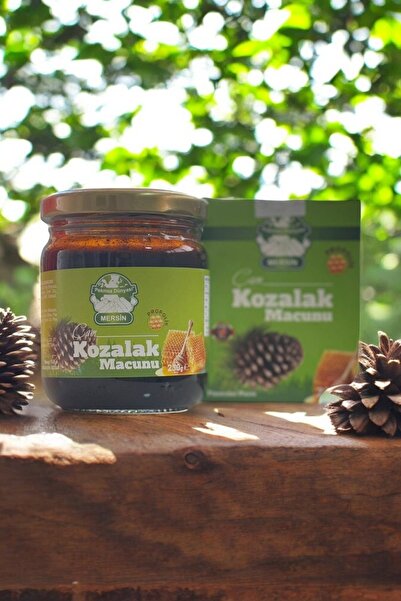 Pekmez Dünyası Andız Pekmezli ve Kestane Ballı Çam Kozalağı Macunu – 230 Gram, Doğal Enerji Kaynağı