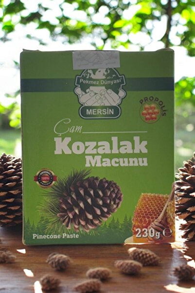 Pekmez Dünyası Andız Pekmezli ve Kestane Ballı Çam Kozalağı Macunu – 230 Gram, Doğal Enerji Kaynağı