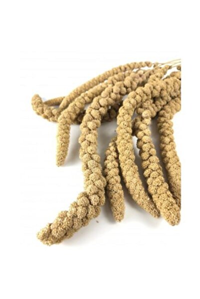 Vivid Bird Sarı Dal Darı 500 Gram Yeni Mahsul Daldarı