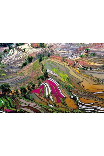 EDUCA Rice Paddies, China 1000 Parça Puzzle
