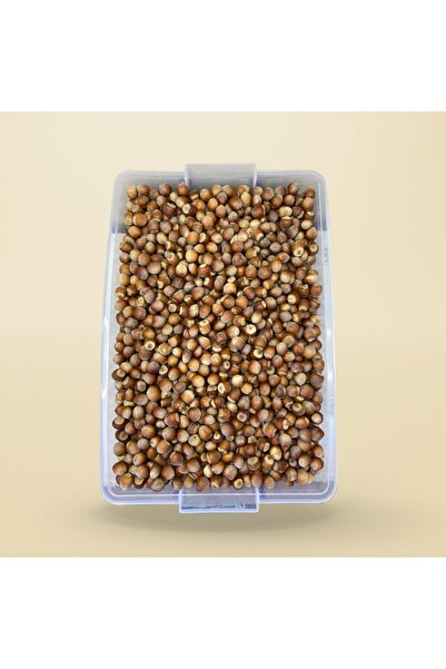 organik evim Yerli Hizan Fındığı