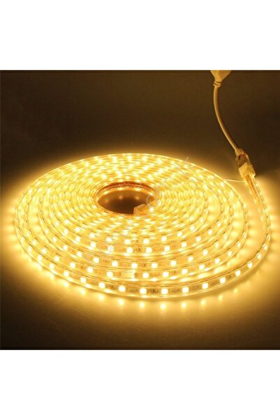Led 15 Metre 220 Volt Günışığı Hortum Şerit Bahçe Havuz Ağaç Aydınlatma Işık