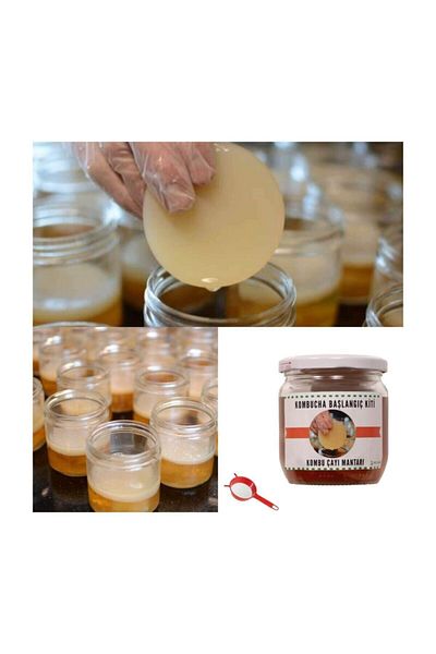 Etik Farma Ozel Uretim Organik Kombucha Ozel Baslagic Kiti Kombu Mantari Kombucha Mantari Cayi 425cc Trendyol