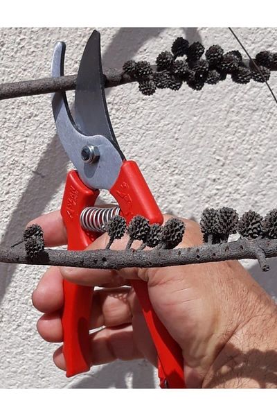 Depolife Garden Pruning Set Tree Branch Cutting Shears Saw Herb Shrub Sickle Glove Set