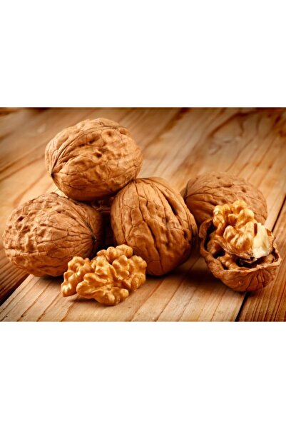 TicaretDenizi Kabuklu Aşı Ceviz Ince Kabuk Tokat Niksar Içi Beyaz Iri Taze Gü...