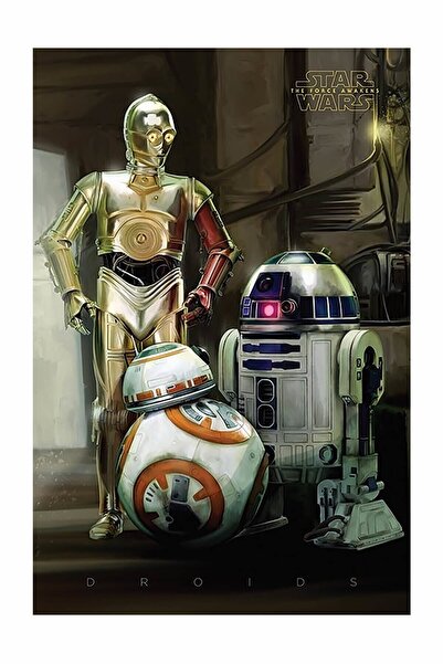 Pyramid International Maxi Poster Star Wars Episode Vıı Droids