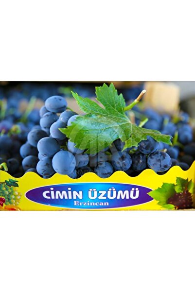 Mevadd Erzincan Cimin Üzümü 3 Kg