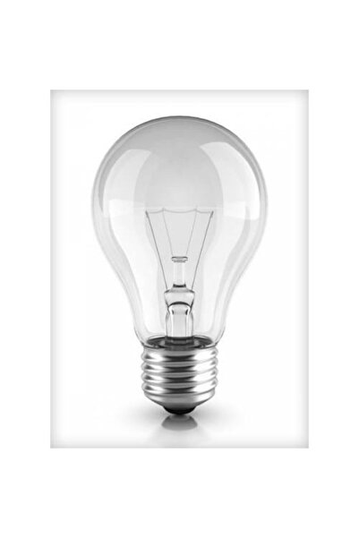 General Elektric General 25w E-27 Normal Flamanlı Ampul (10 Adet)