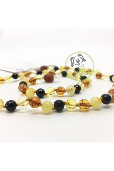 Totsandmore Mixed Color Amber Necklace - Full Round (6 Mm) Adult Size Official GLT Certified