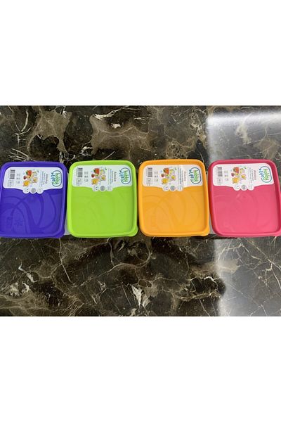 HOBBY LİFE 1.1 Liter Alaska No Frost Storage Container 4 Pieces