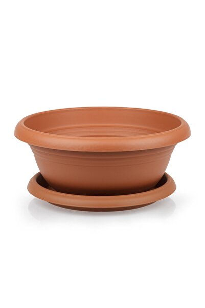 MF Botanik Kaktüs Aranjman Saksı Çiçek Aranjman Dekoratif Saksı 3.8 Litre Kir...