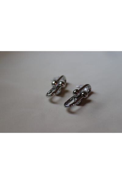 Glossy Shine Silver Tiffany Earrings