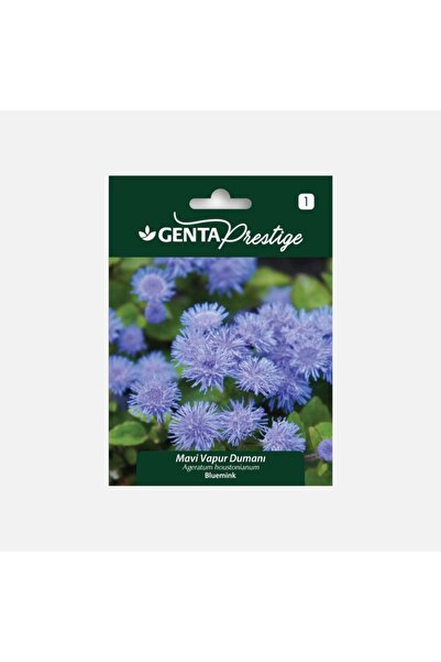 Genta Prestige Firba Mavi Vapur Dumanı Çiçeği Tohumu, Vapur Çiçeği