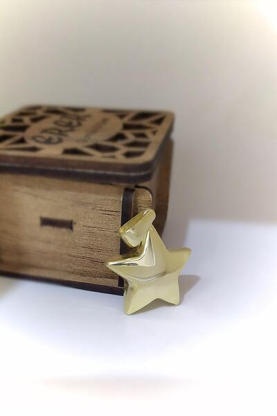 Erer Gümüş Gümüş Bombeli Yıldız Kolye Ucu