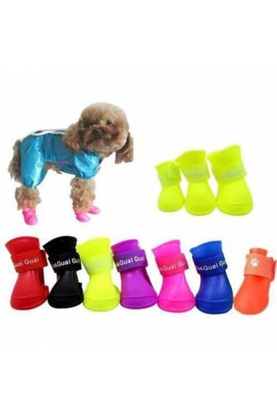 Dazelife Silikon Köpek Ayakkabısı Small