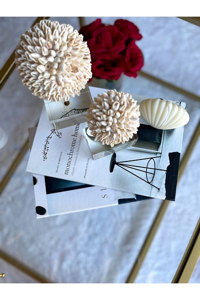 irayhomedecor 2 Pack Simplicity/monochrome Decorative Book Box
