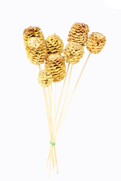 Yapay Çiçek Deposu Kuru Çiçek 10lu Sarı Rulo Kozalak