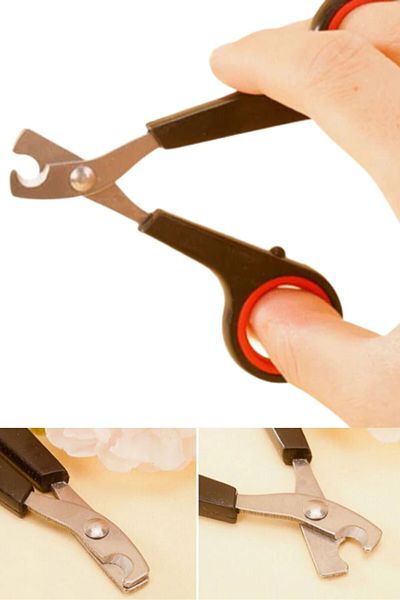 Buffer 3 Pieces Pet Nail Clipper and Rasp Set - Non-slip Handle Manicure Pedicure Paw Care Tool