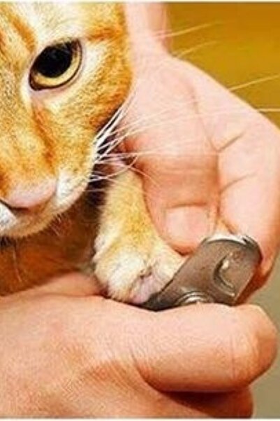 Buffer 3 Pieces Pet Nail Clipper and Rasp Set - Non-slip Handle Manicure Pedicure Paw Care Tool