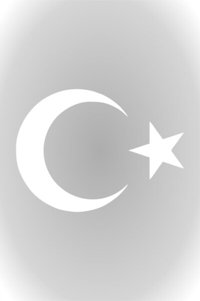 Quart Aksesuar Ay Yıldız Sticker Türk Bayrağı Sticker 10 X 7,5 Cm Beyaz