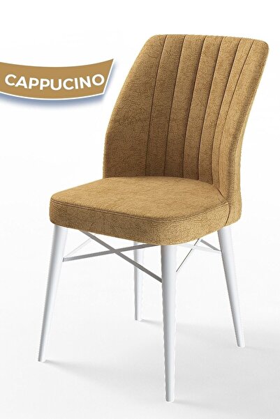 Canisa Concept Flex Serisi, Üst Kalite Mutfak Sandalyesi, Gürgen Beyaz Ahşap ...