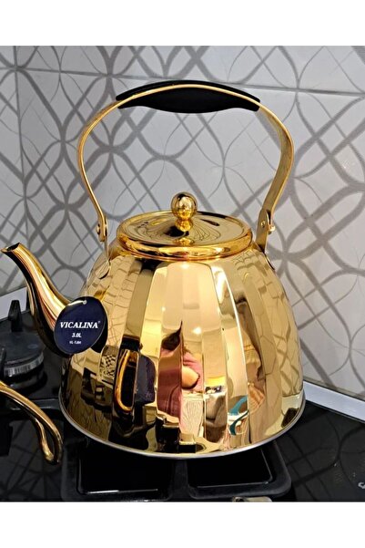 VICALINA 3lt Model Alman Markası Paslanmaz Çelik Çaydanlık