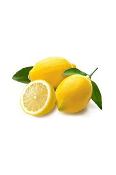 Köy Tohumları 20 Adet Tohum Nadir Organik Hasat Yediveren Limon Ağacı Ağaç To...