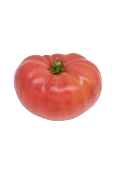 Köy Tohumları 30 Adet Tohum Nadir Organik Ankara Ayaş Lezzetli Domates Tohumu...