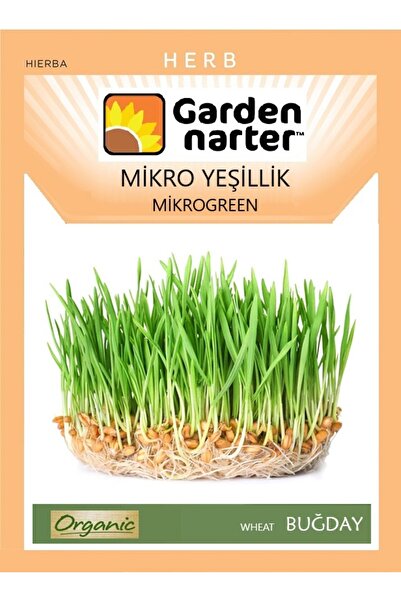 GARDEN NARTER Mikro Yeşillikler Için Microgreen Organik Buğday Tohumu Mikro F...